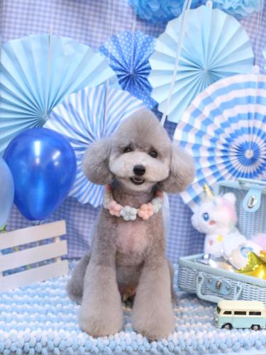 20231115宇宙くん